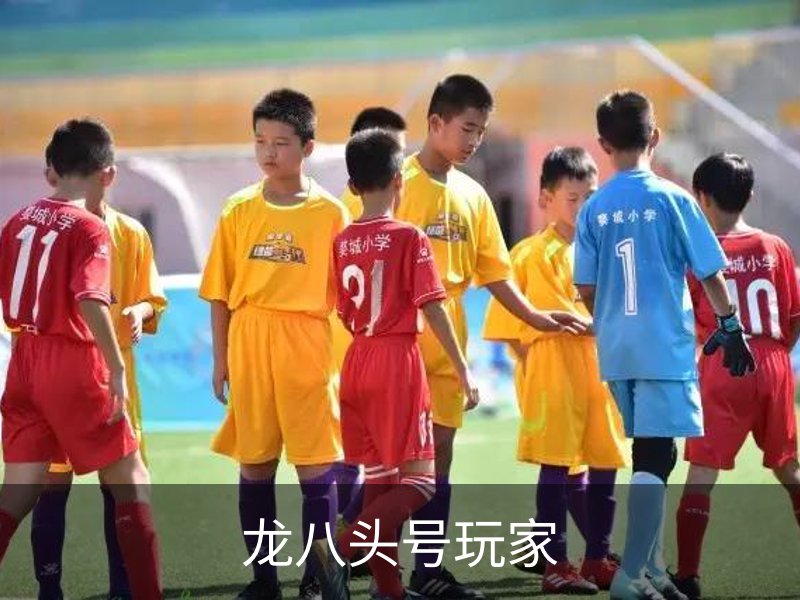 龙八头号玩家介绍
